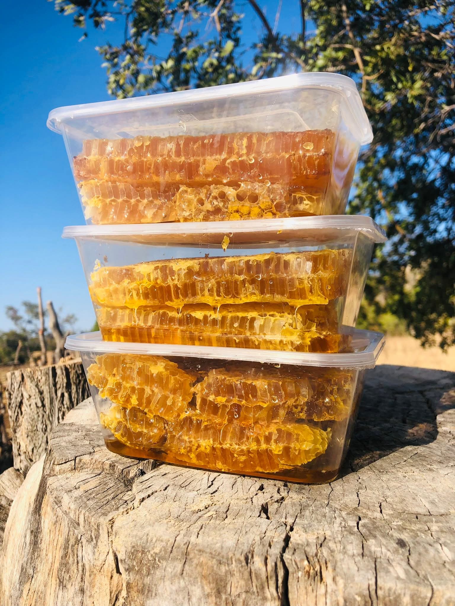Combed Honey